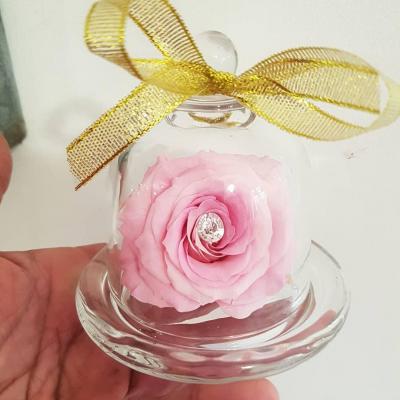 Rose cloche artifleurs