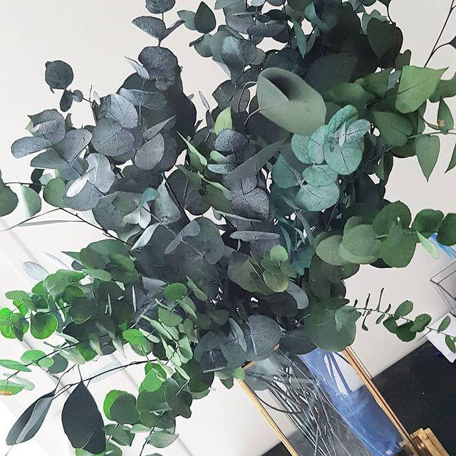 127162657 737367446863977 4779378750233420809 n