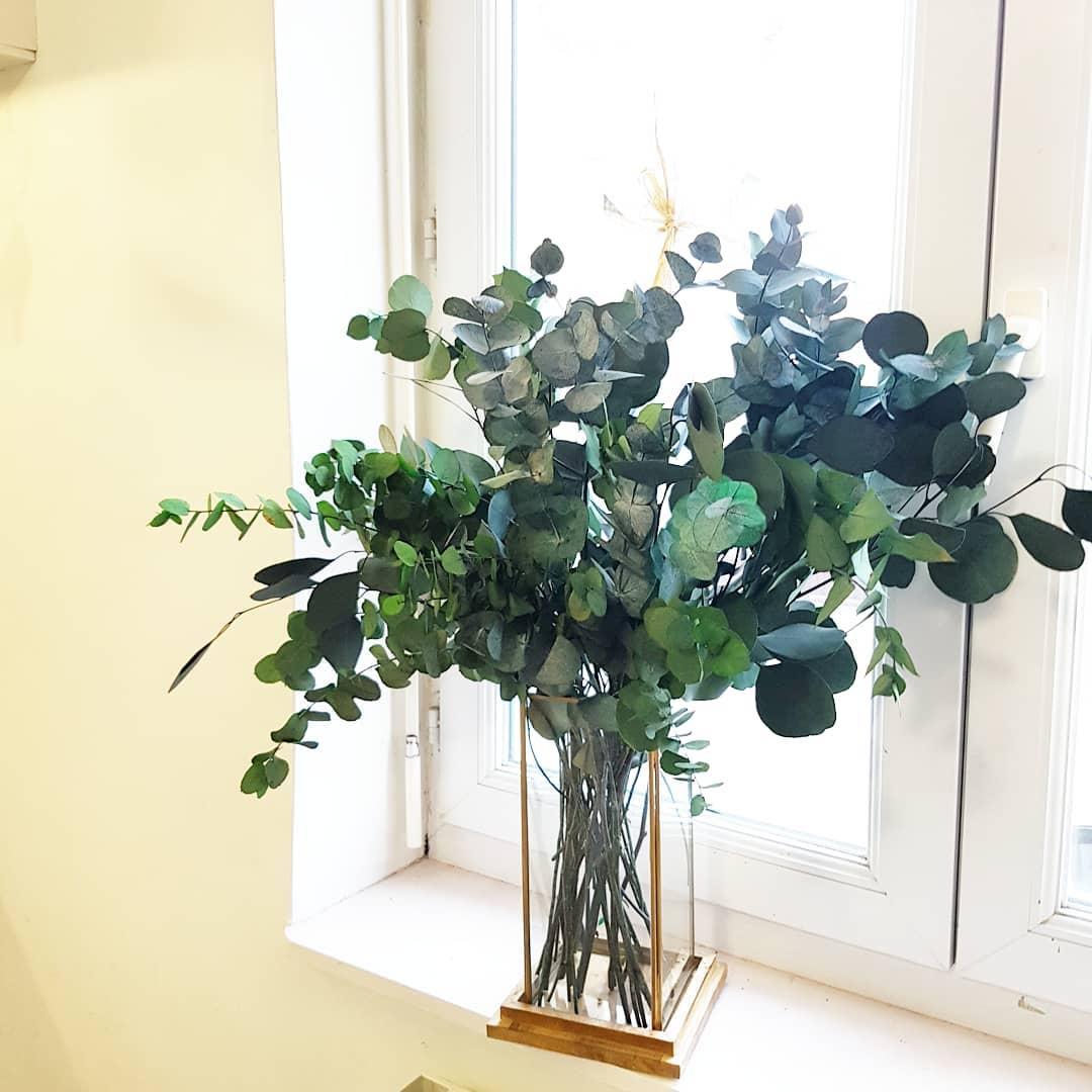 127263156 371899837366229 813912640633724246 n 1