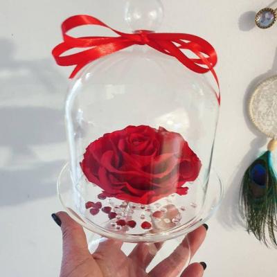 cloche en verre