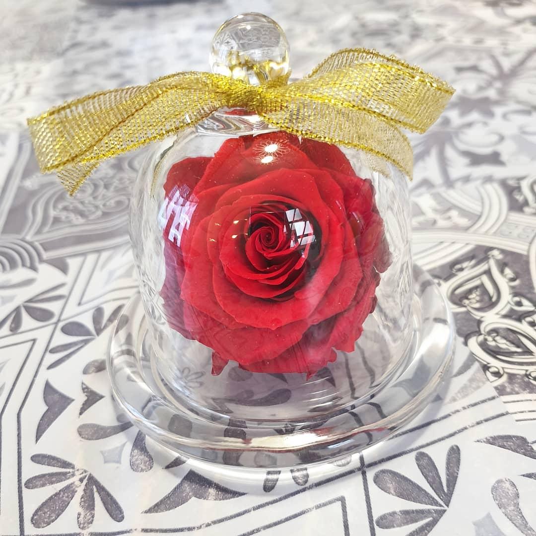 144144197 1313249665710835 5636902811828547972 n 1