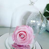 CLOCHE verre et cristal Swarovski Rose éternelle Zirconium