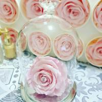 151774728 334056101315493 4372922883546747966 n 1