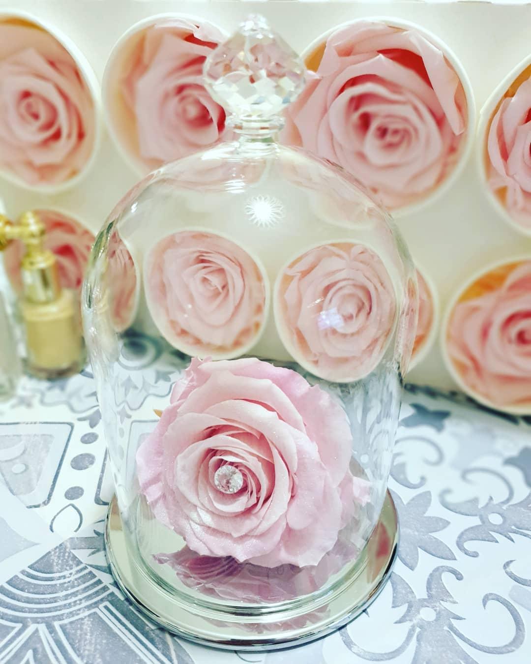 151774728 334056101315493 4372922883546747966 n 1