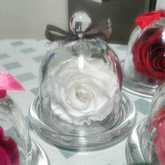 Petite CLOCHE verre et sa ROSE éternelle 