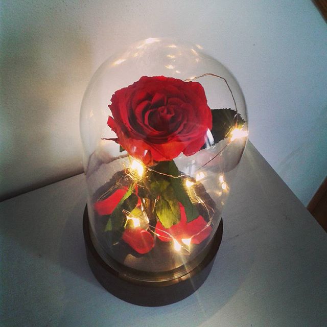 CLOCHE verre LED et sa ROSE naturelle éternelle