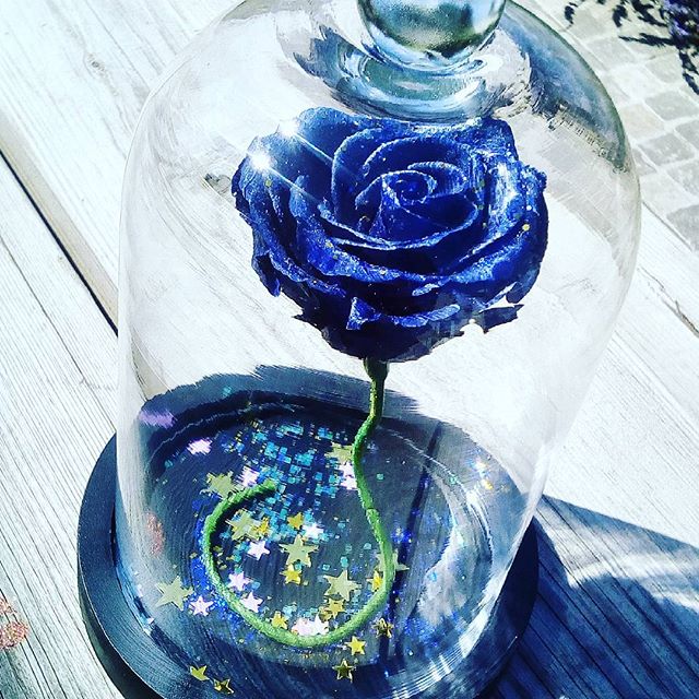 Cloche rose stabilisée éternelle parfumée Nuit Étoilée