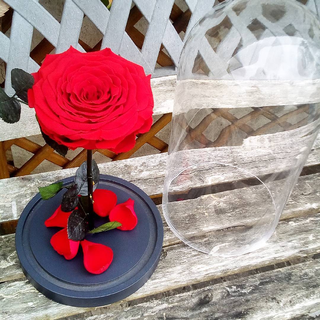 20393848 283141765426372 2415700369905549312 n 1