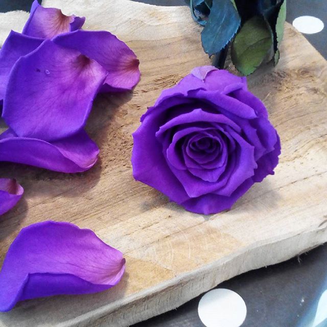 Grande ROSE  ternelle sur tige couleur  violet 