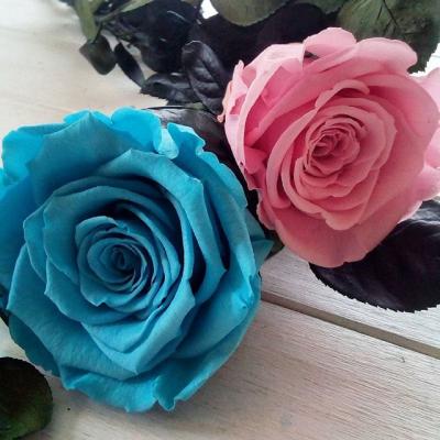 rose de naissance artifleurs