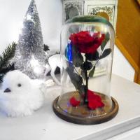 25007052 343855922747829 7551347251411419136 n