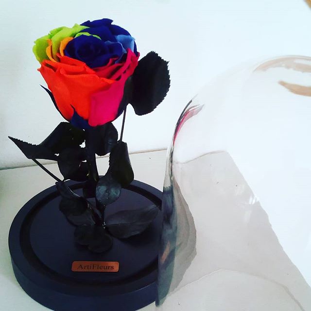 26182896 373098176486044 7468770758479577088 n