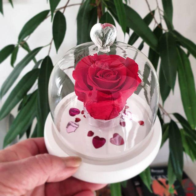 CLOCHE verre coeur ROSE éternelle rouge saint-valentin