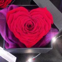 rose coeur artifleurs