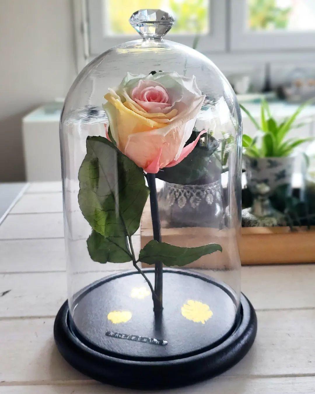 316513660 892652298397109 2904057434917784597 n