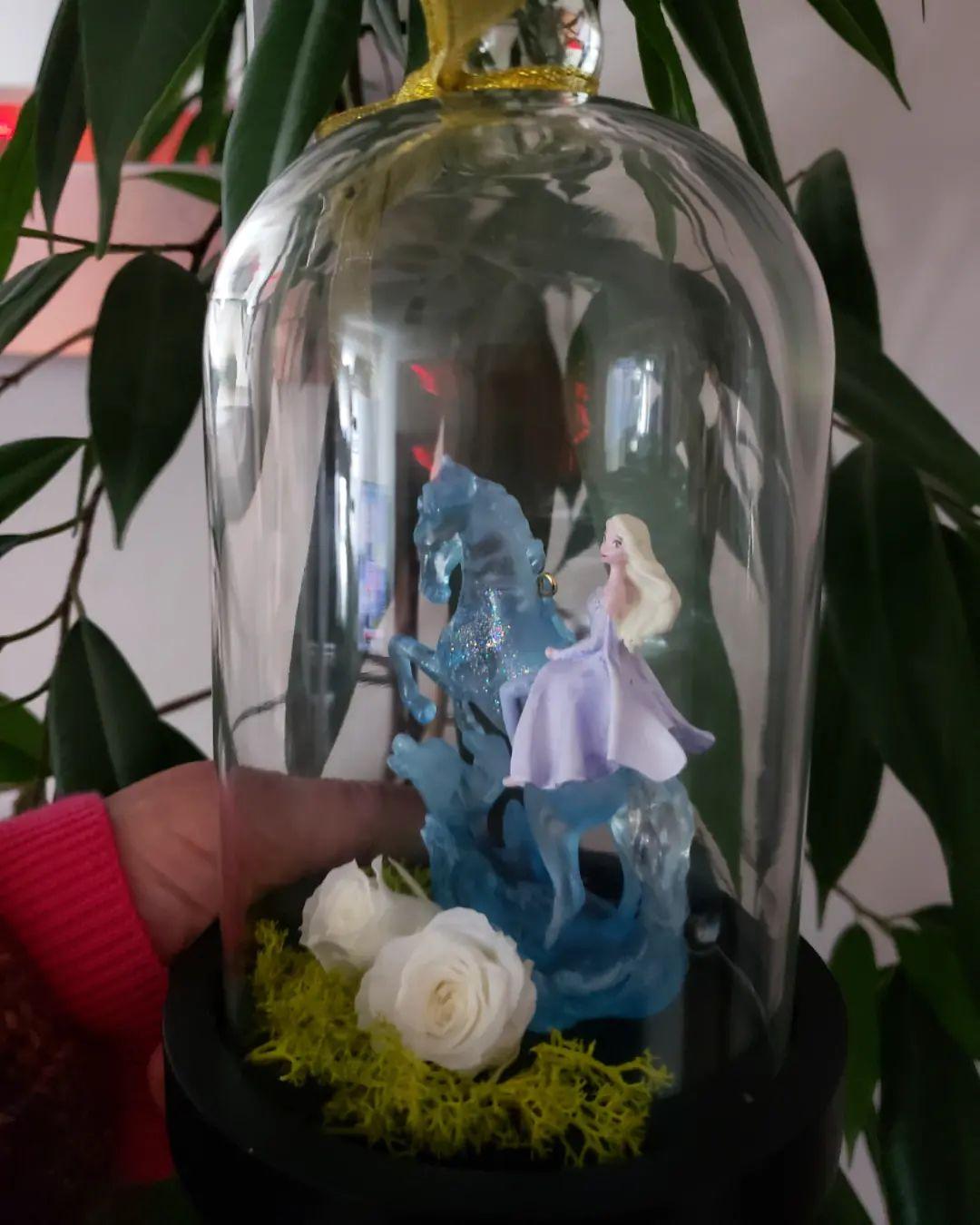 318755864 553348616304101 6762184619121366800 n