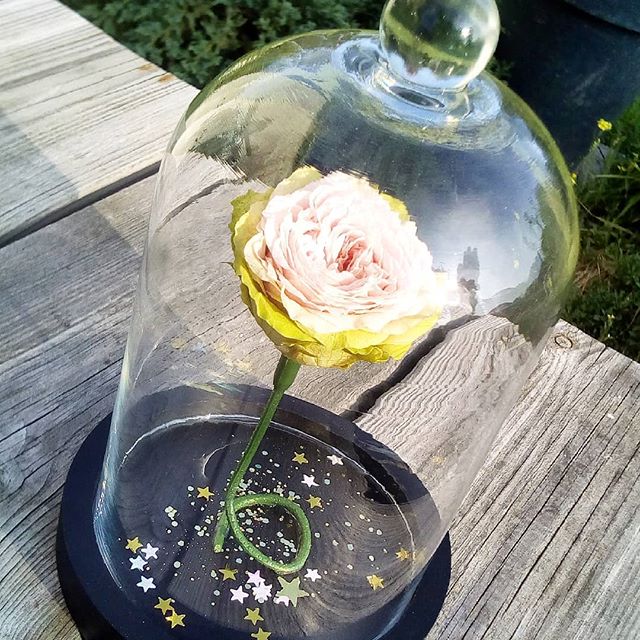 FLEURS ÉTERNELLES