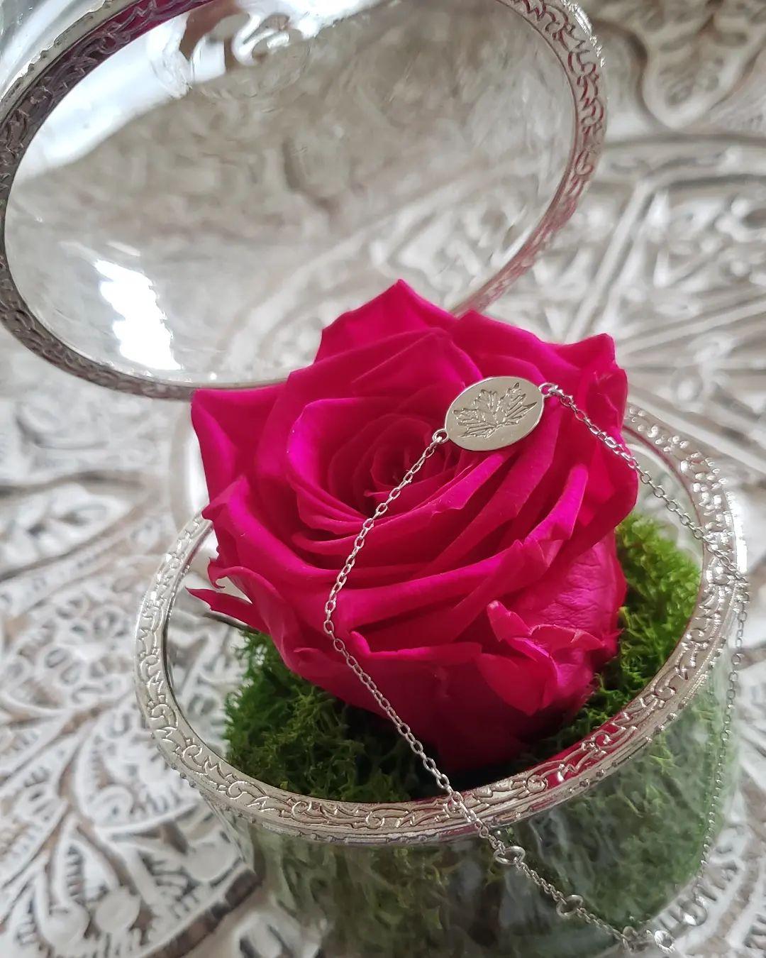 381651073 1093598471759669 8065328398969111905 n