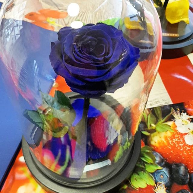 44871199 262879537717403 5488986506888725541 n