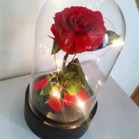 62e40207b60021097b2c20534f6d1712 la belle boutiques