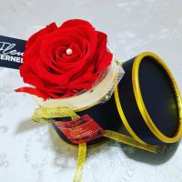 82459540 273682403593663 5404243313919666857 n 1