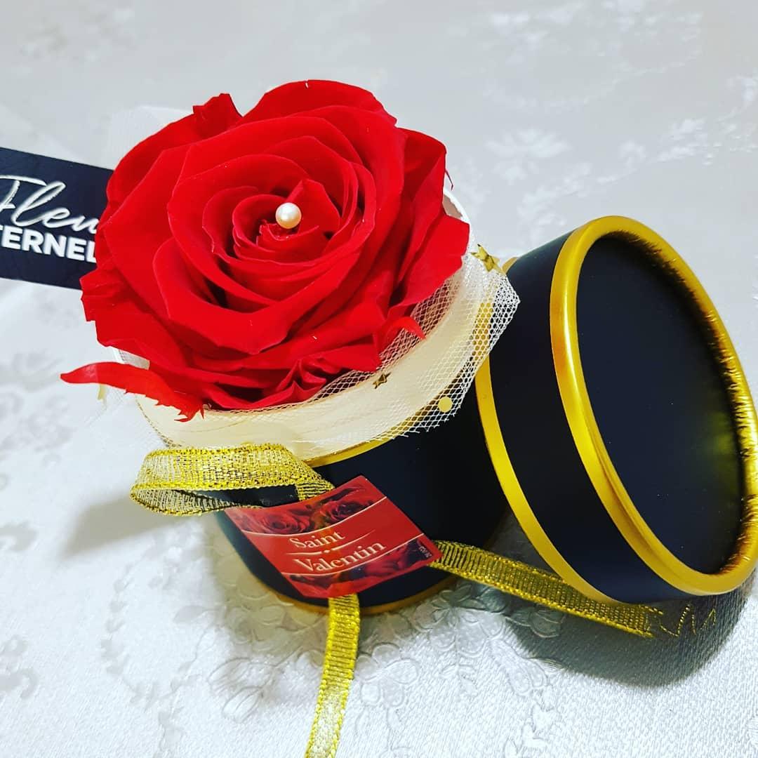 82459540 273682403593663 5404243313919666857 n 1