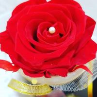 82591489 195910024926248 1811933723432183991 n