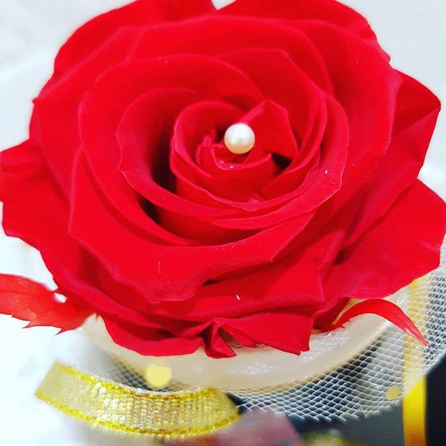 82591489 195910024926248 1811933723432183991 n