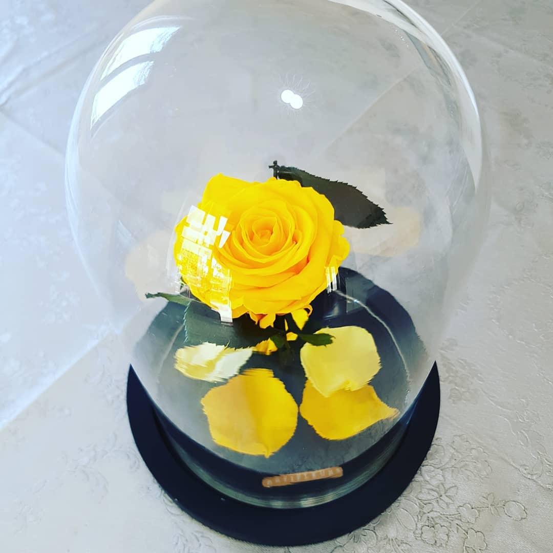 93513980 801095243632757 3054456995667106383 n 1