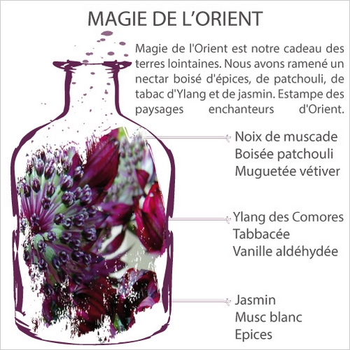 Aromalife magie de l orient