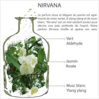 Aromalife nirvana 1