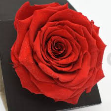 Bloominbox diamant artifleurs