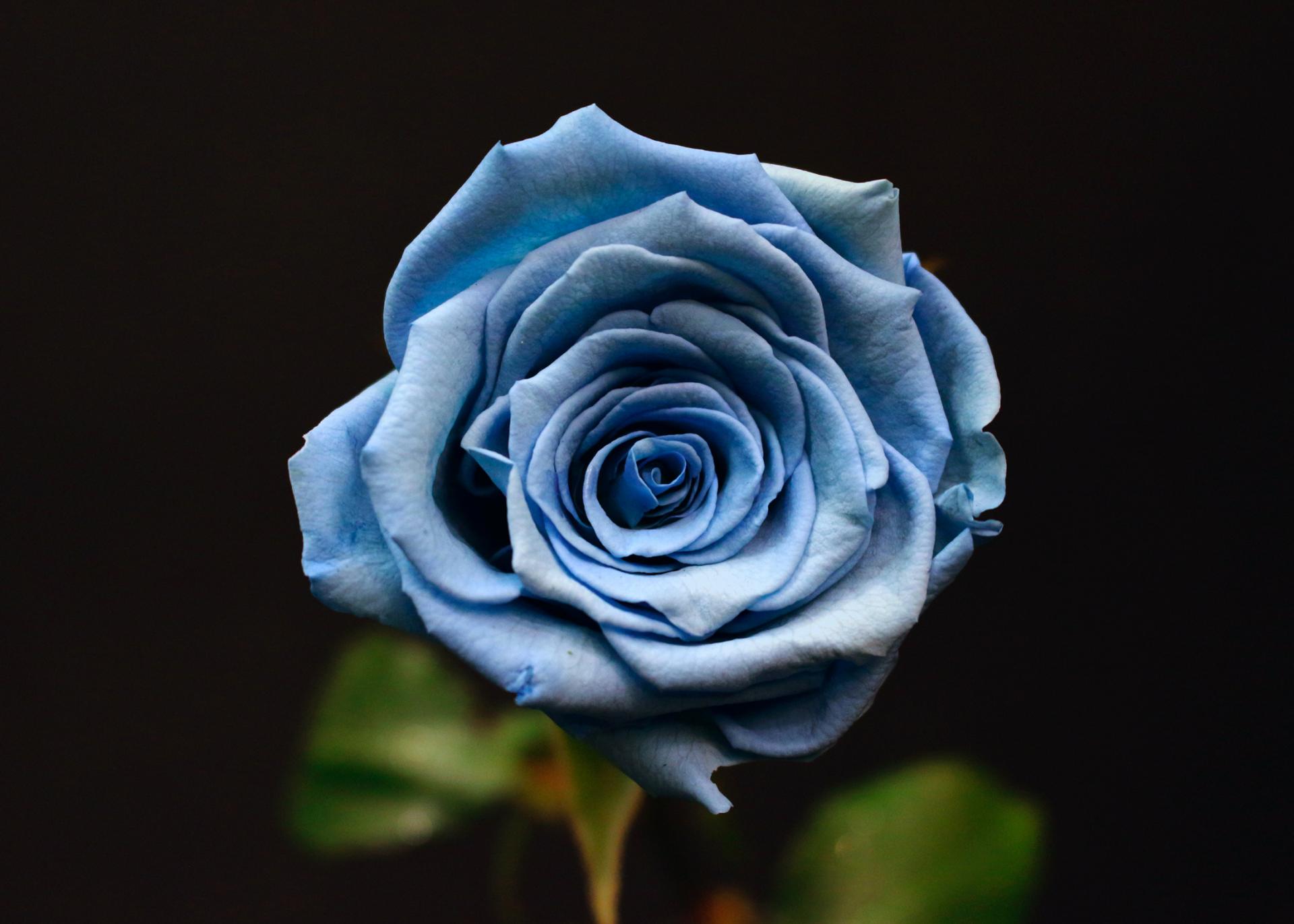 Bouquet 3 bleu ciel