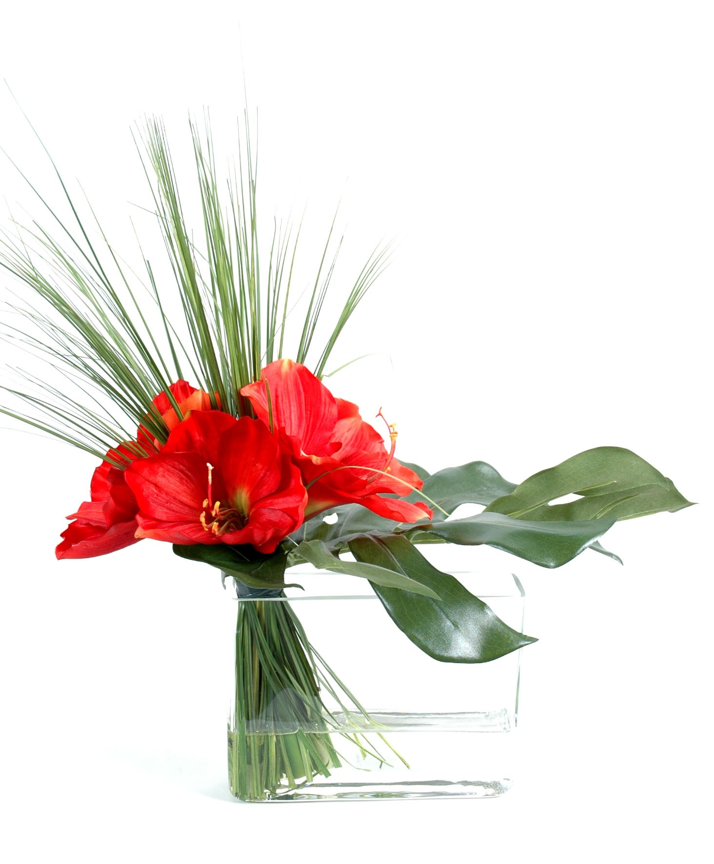 Bouquet an002