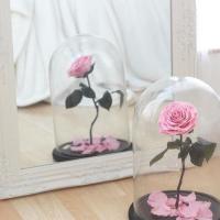 cloche la belle artifleurs