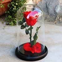 Cloche rouge artifleurs2