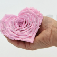 Coeur rose xxl