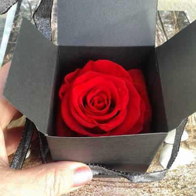 Coffret rose eternelle parfumee artifleurs collier arbre de vie