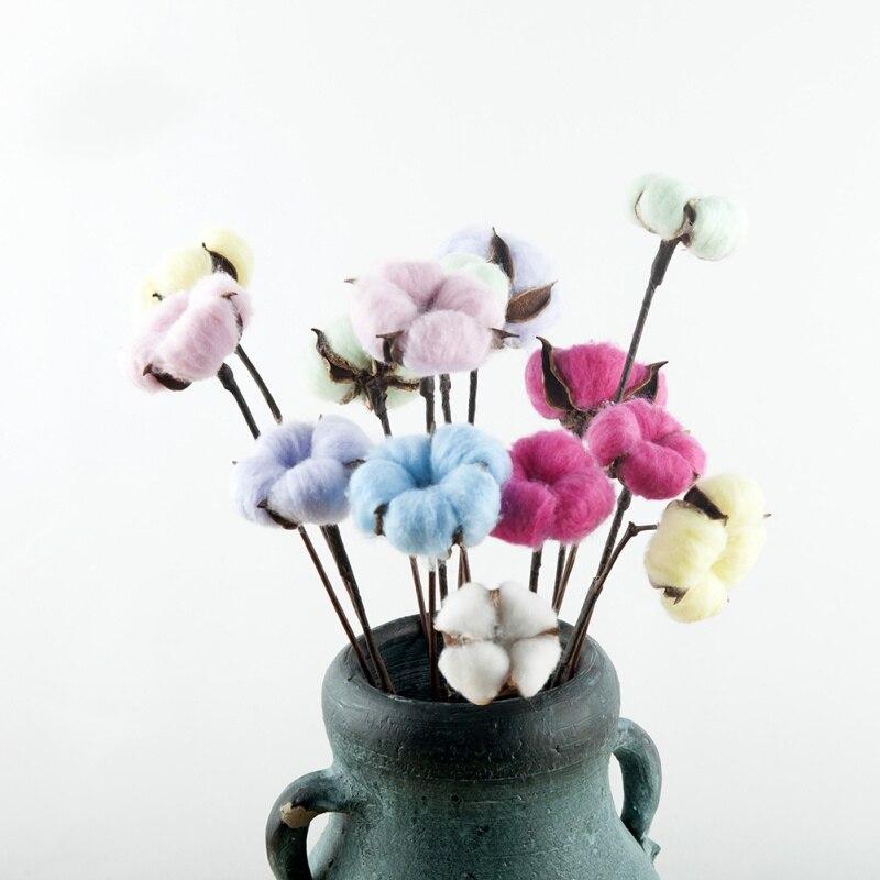 Coton fuchsia