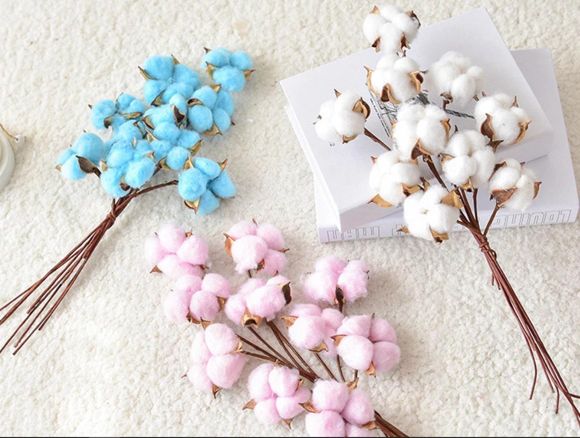 Coton