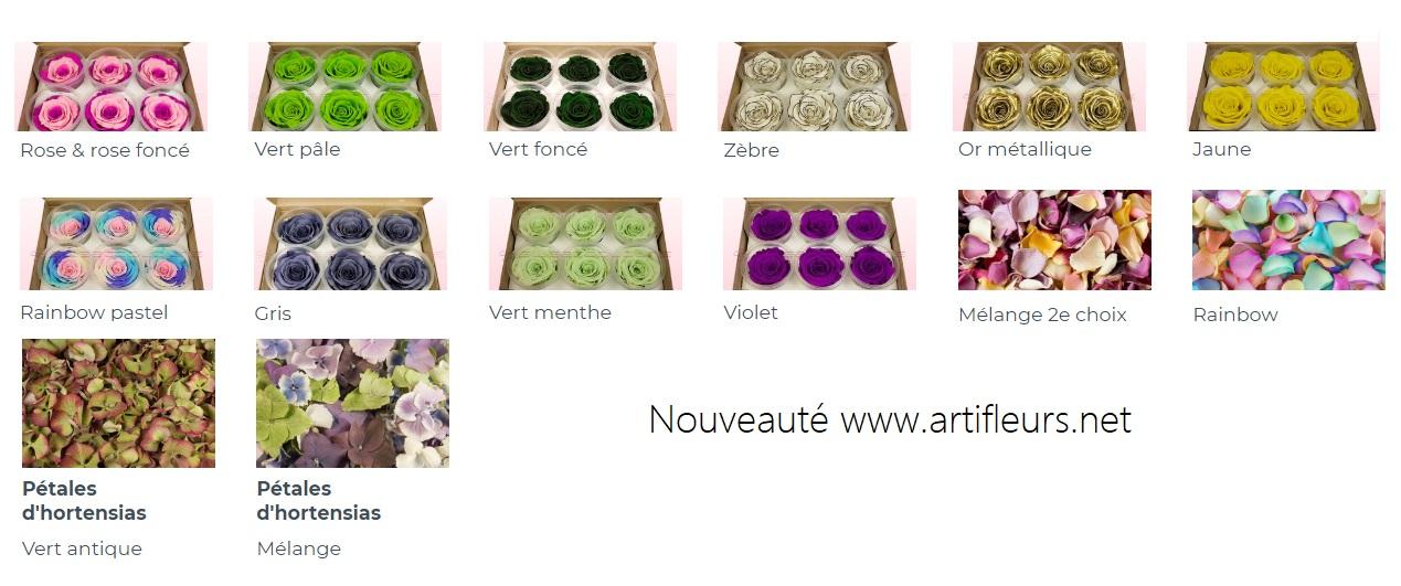 Nouveaute artifleurs