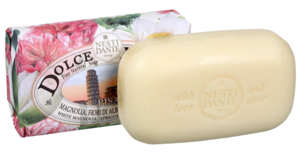 Savon pisa