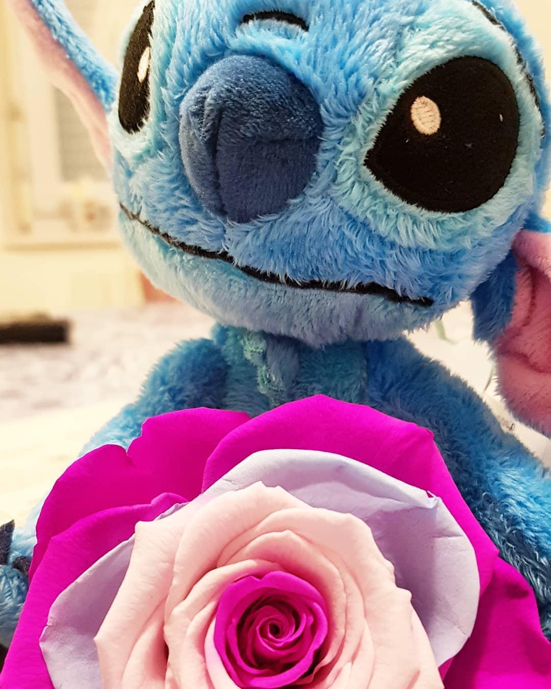 Stitch neuw artifleurs 2